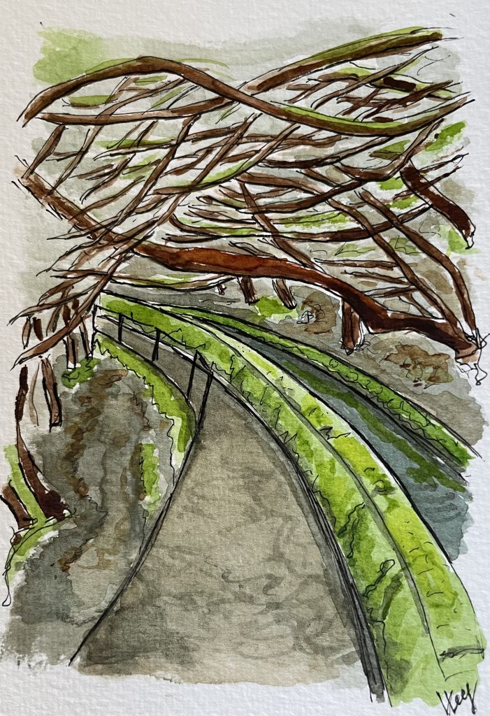 Levada, Madeira, watercolour, 10.5x15.5 cm, 2025
